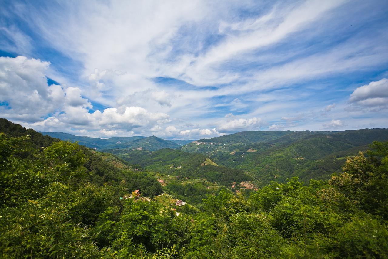 Fattoria Di Pietrabuona Appartamento Pescia Esterno foto