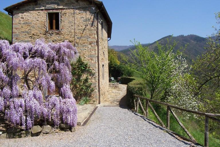 Fattoria Di Pietrabuona Appartamento Pescia Esterno foto