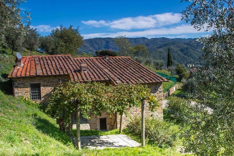 Fattoria Di Pietrabuona Appartamento Pescia Esterno foto